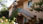 https://www.sizilien-ferienhaus.de/e11/e1803/e10150/images10179/Sizilien-Cicladi-1_th_ger.jpg - Sizilien
